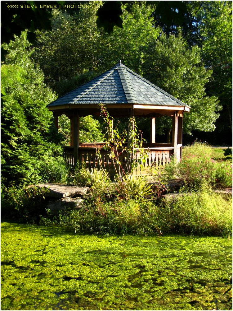Pond and Gazebo in Golden Hour, Early Autumn