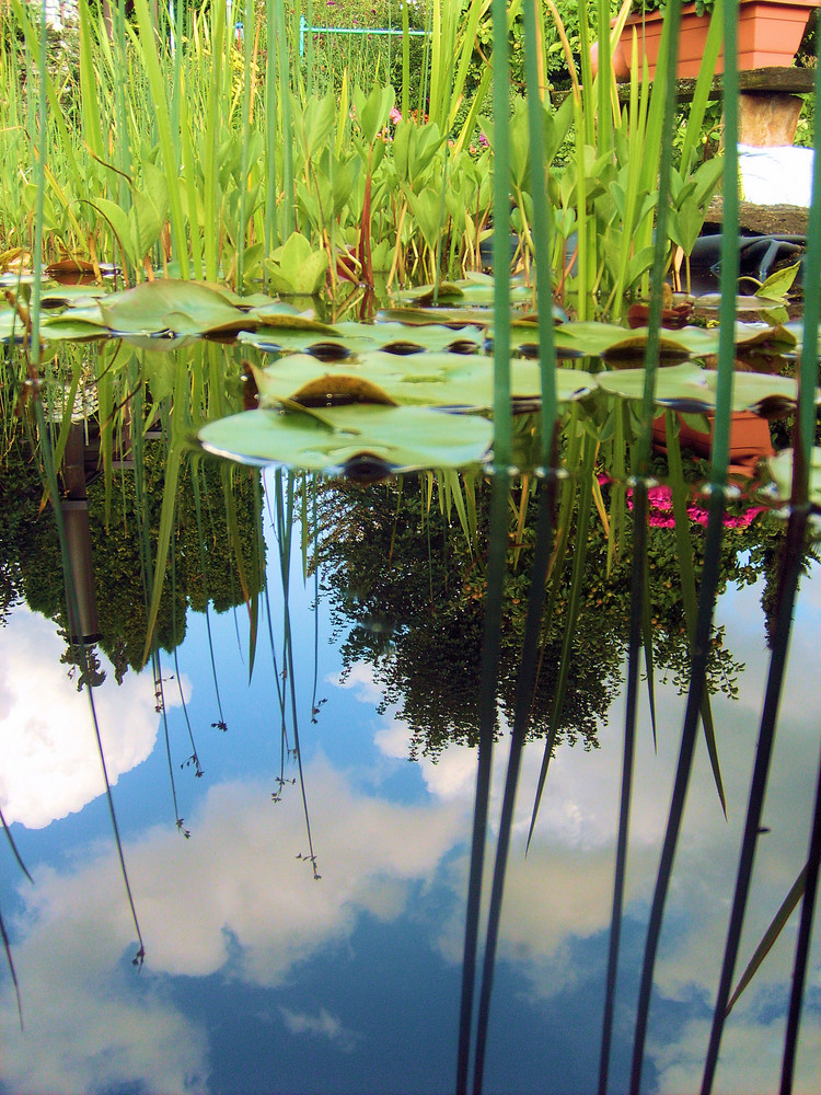 pond and heaven