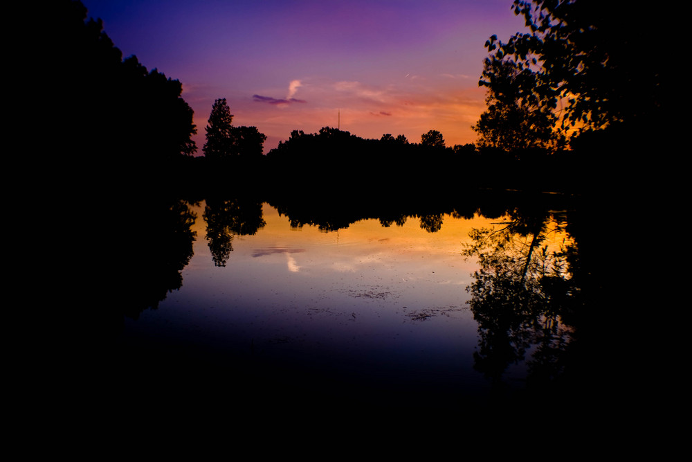 Pond evening