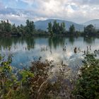 Pond in Autumn