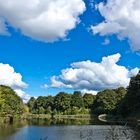 Pond near Lilo - Antwerp