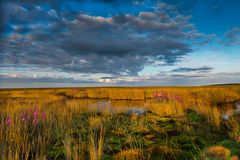 pond on moor 