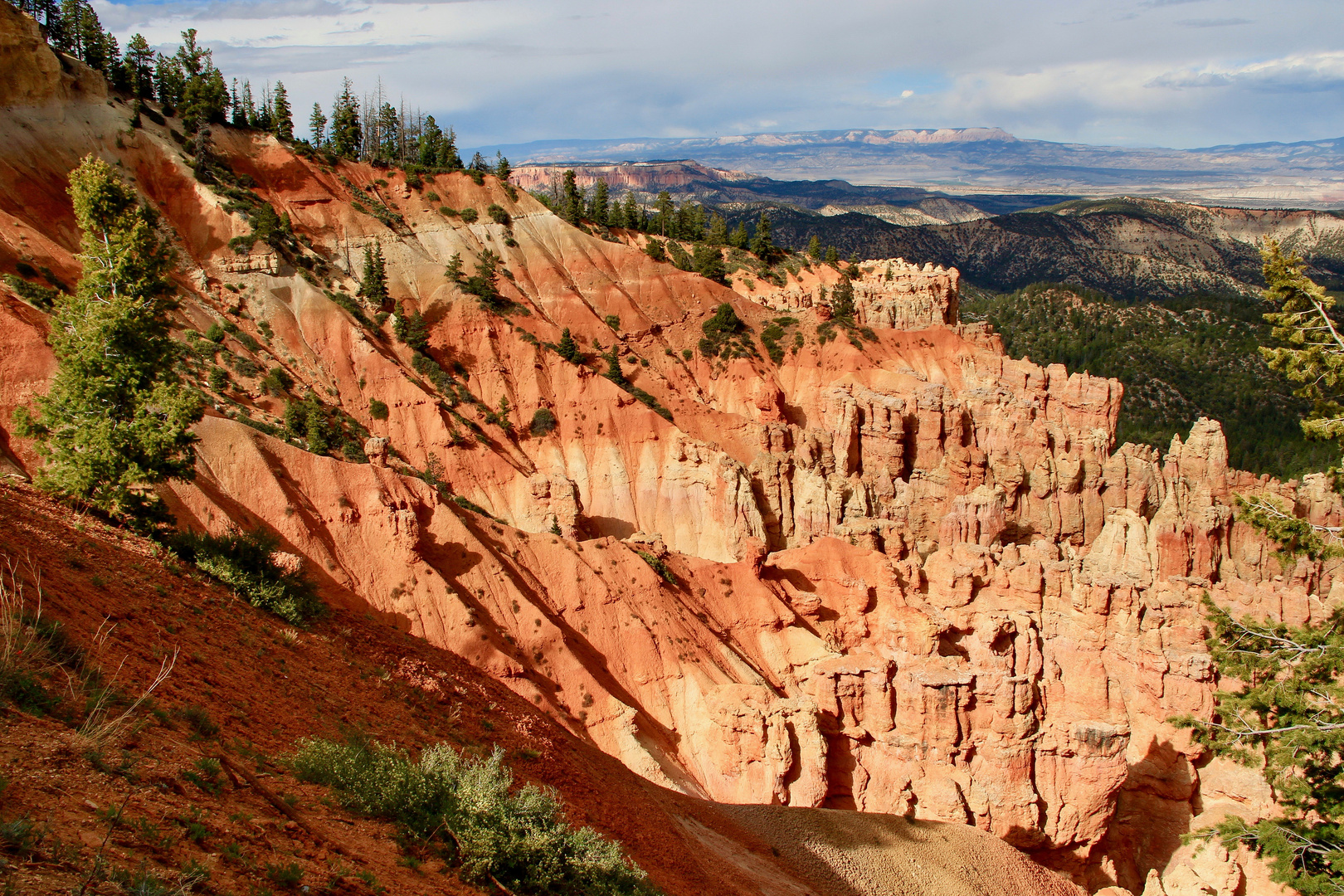 Ponderosa Canyon