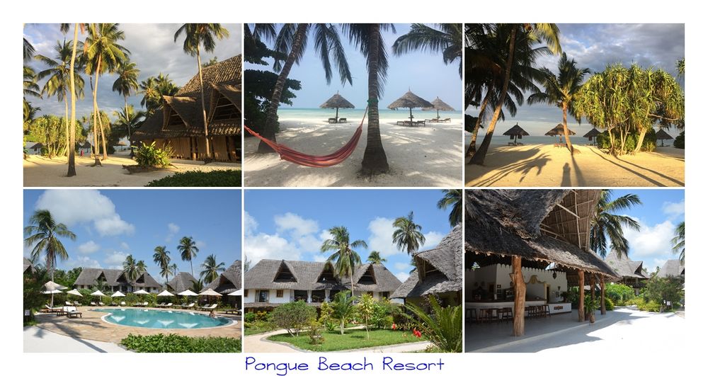 Pongue Beach Resort