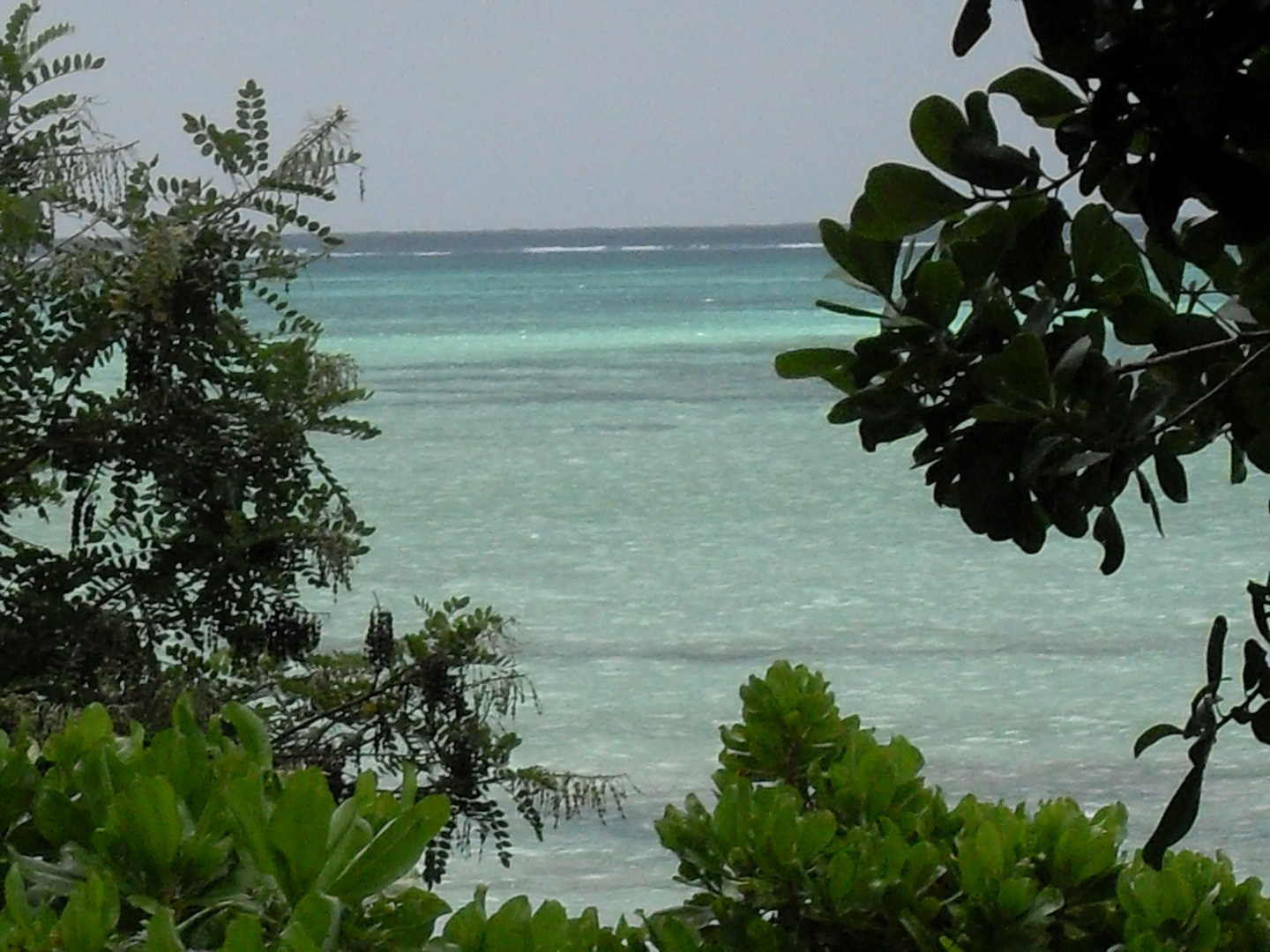 Pongwe Beach