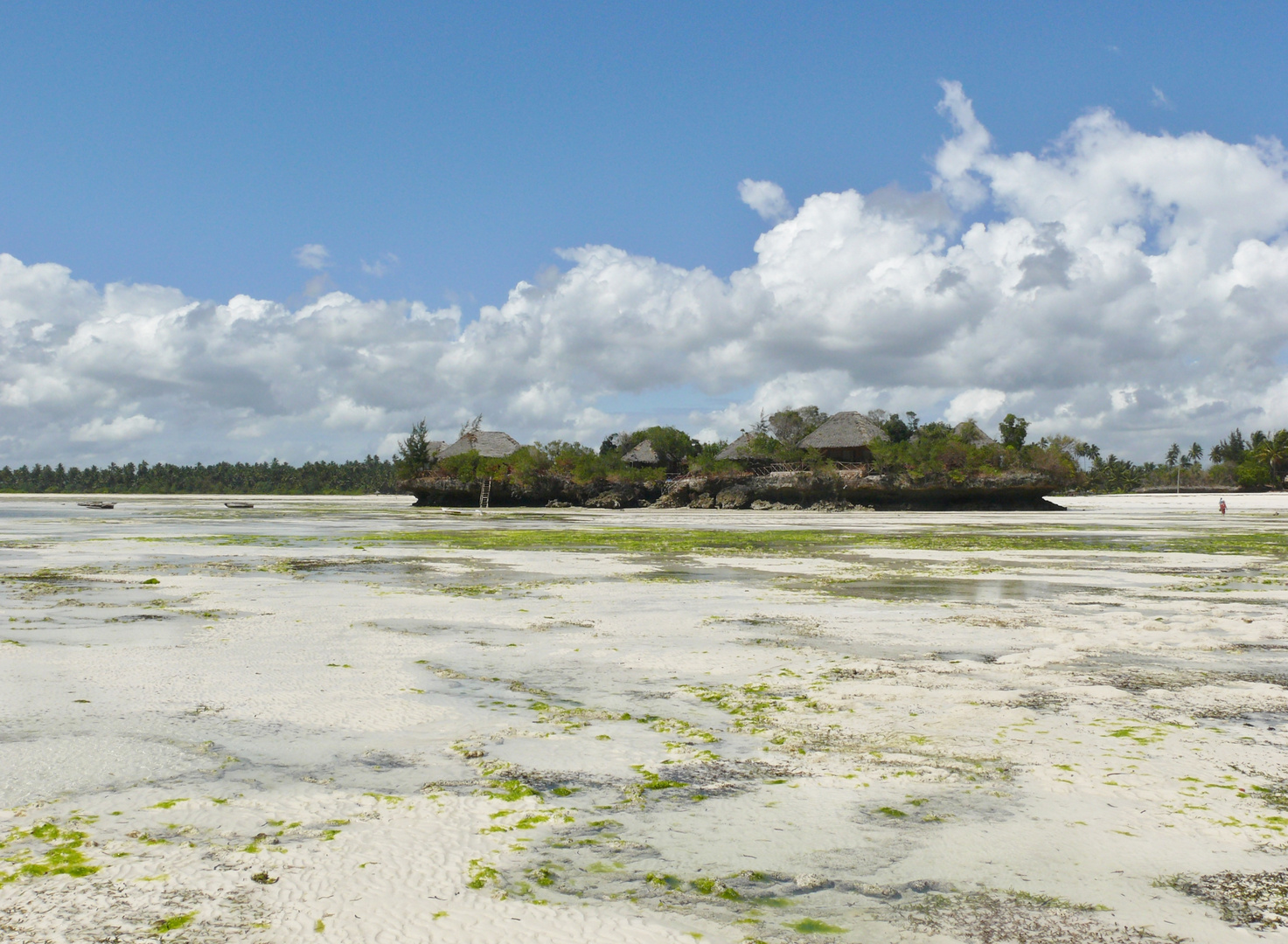 Pongwe bei Ebbe II