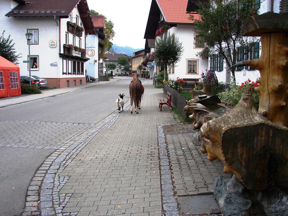 Ponny und Ziege auf Stadtbummel ;)