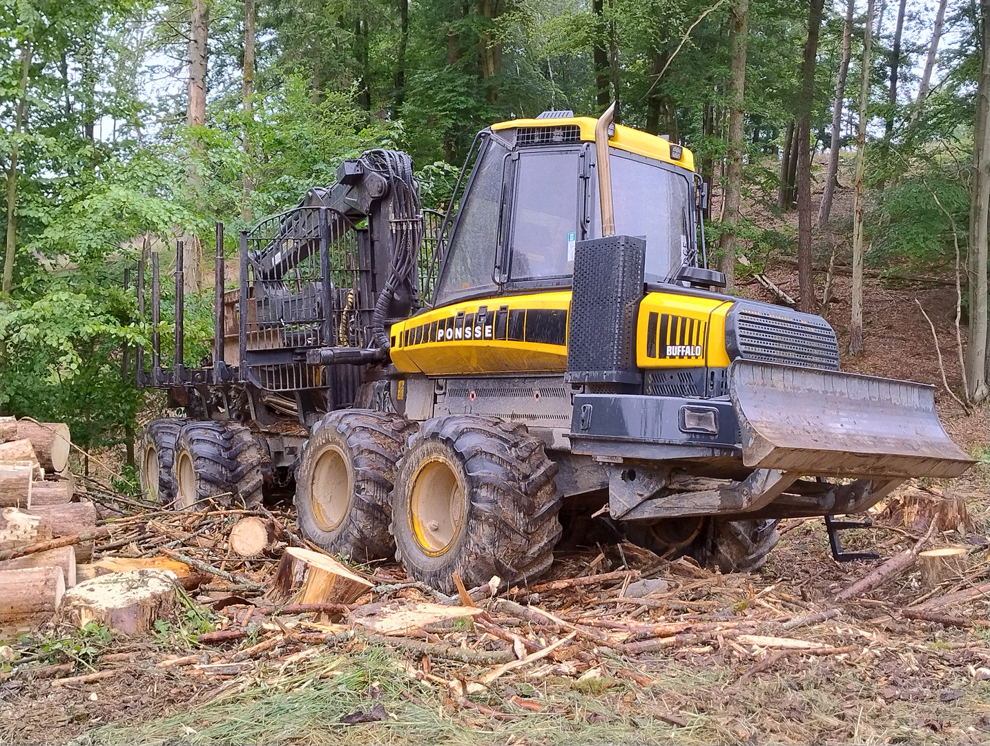 PONSSE BUFFALO & PONSSE BEAR Foto & Bild industrie und technik