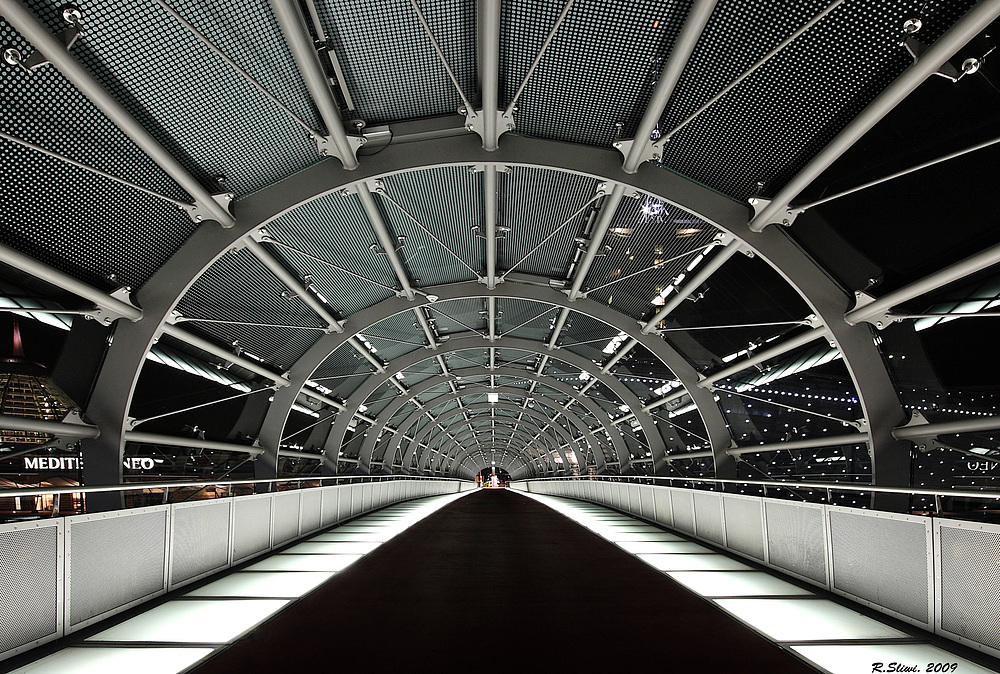 Pont à la maison de climat  ( Brücke zum Klimahaus )