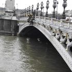Pont Alexandre III, la Seine.