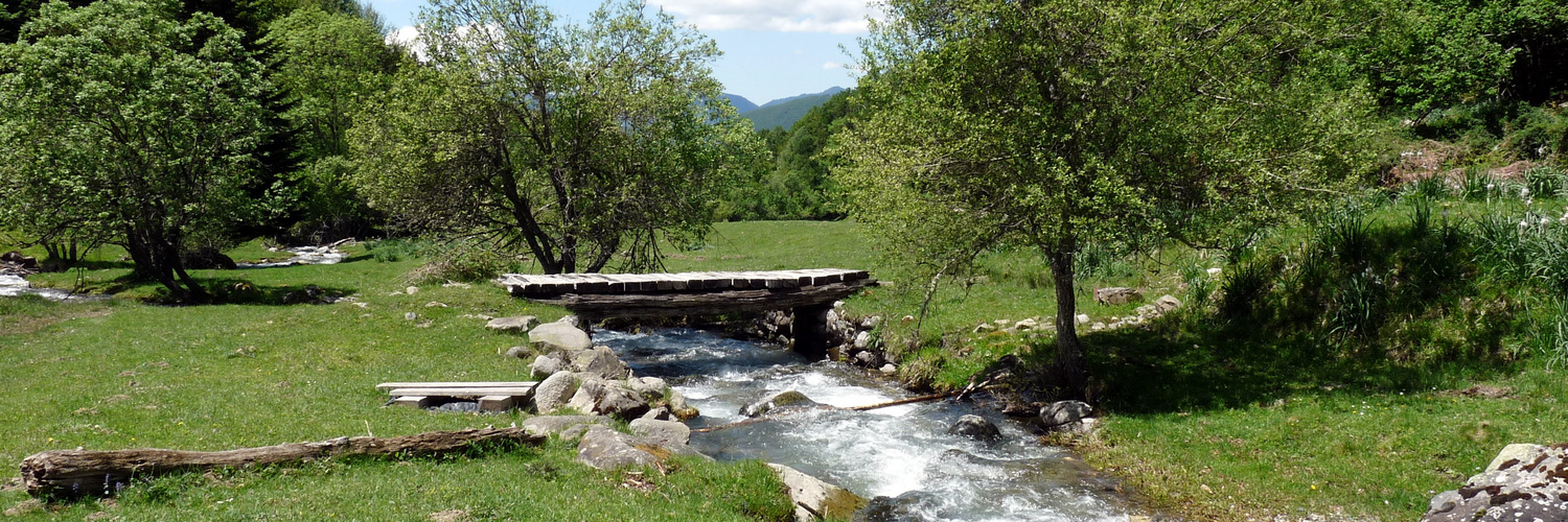 PONT BAREILLES