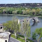 Pont Benezet Avignon