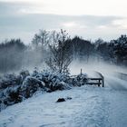 pont dans le brouillard de glace