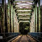 Pont dans une forêt