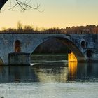 Pont d'Avignon