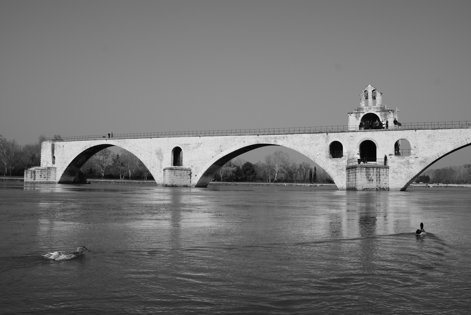 pont d'Avignon