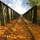 ...pont de chemin de fer  - automnal !!!...