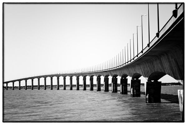 „ Pont de l'île de Ré “