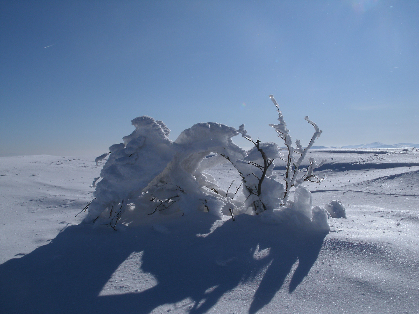 pont de neige