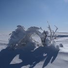 pont de neige