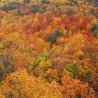 Pont de Possonas, France, Autumn 2003