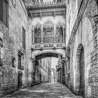 Pont del Bisbe, Barcelona. Gothic quarter, Barcelona, Spain.