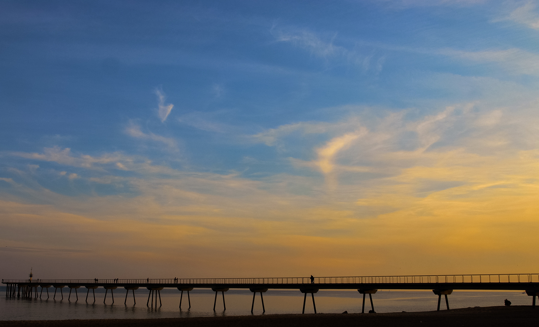 Pont del Petroli