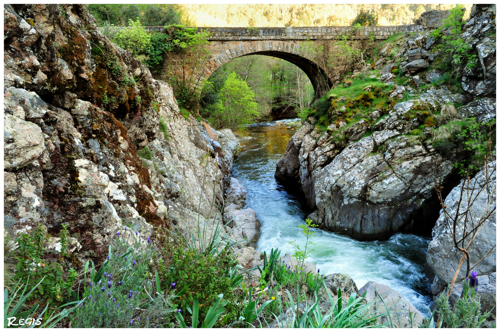 Pont des Gorges du Prunelli