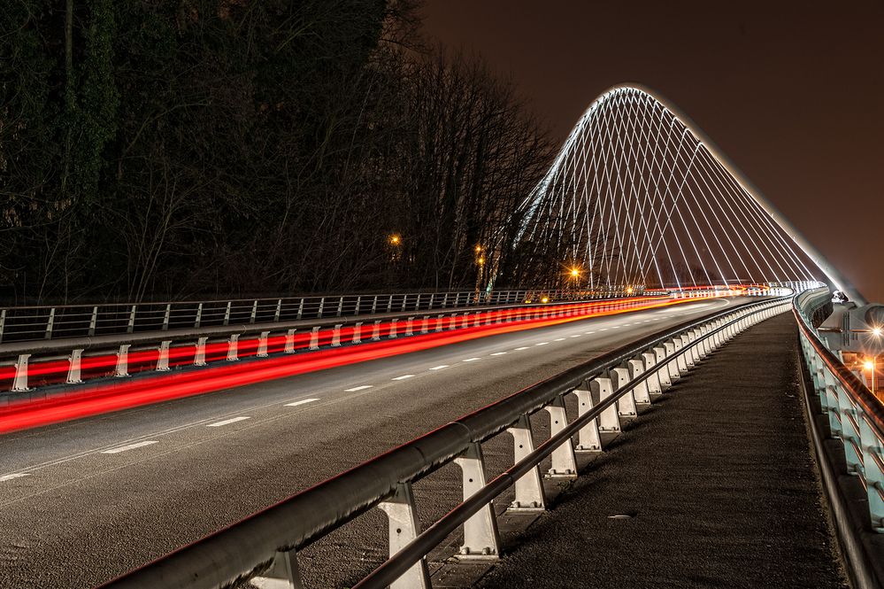 Pont des Guillemins