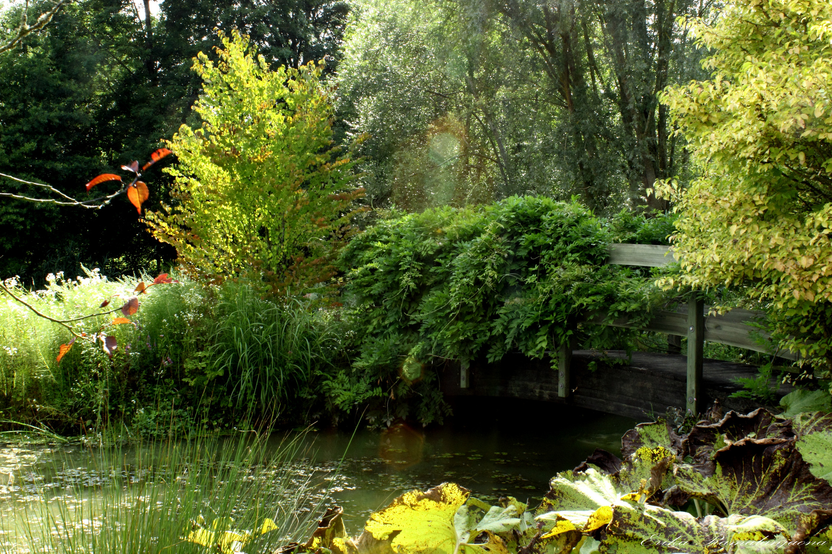 Pont dissimulé