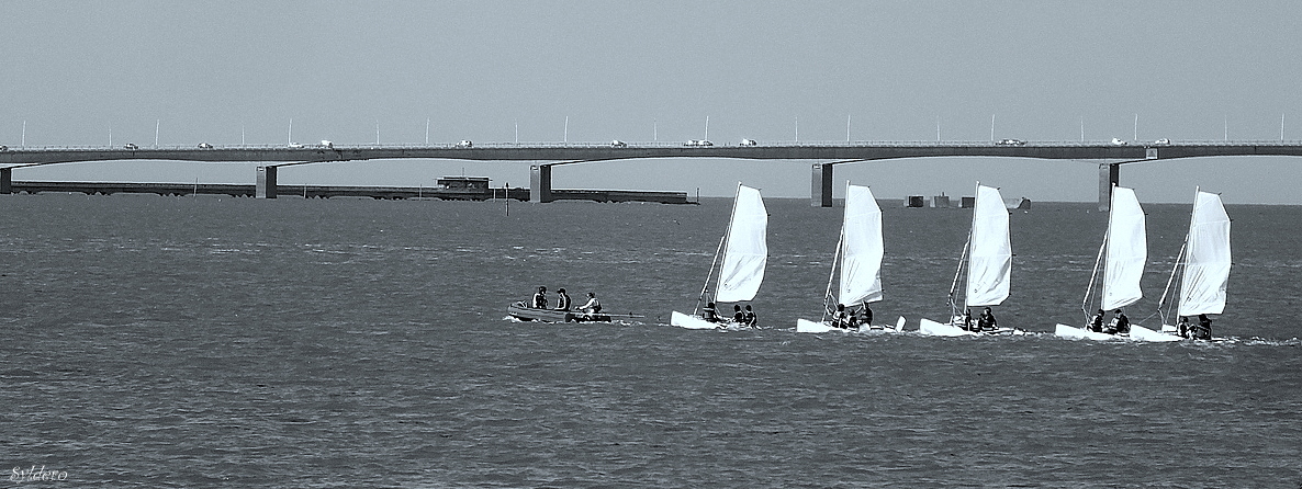 Pont d'Oléron