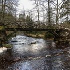 Pont du Centenaire-Hockai (B)