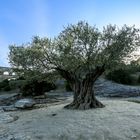 Pont du Gard (2)