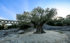 Pont du Gard (2)