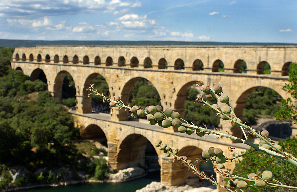 pont du gard 5