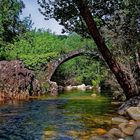 Pont génois de zipitoli Bastelica corse du sud