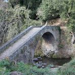 Pont Gênois