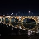 Pont neuf