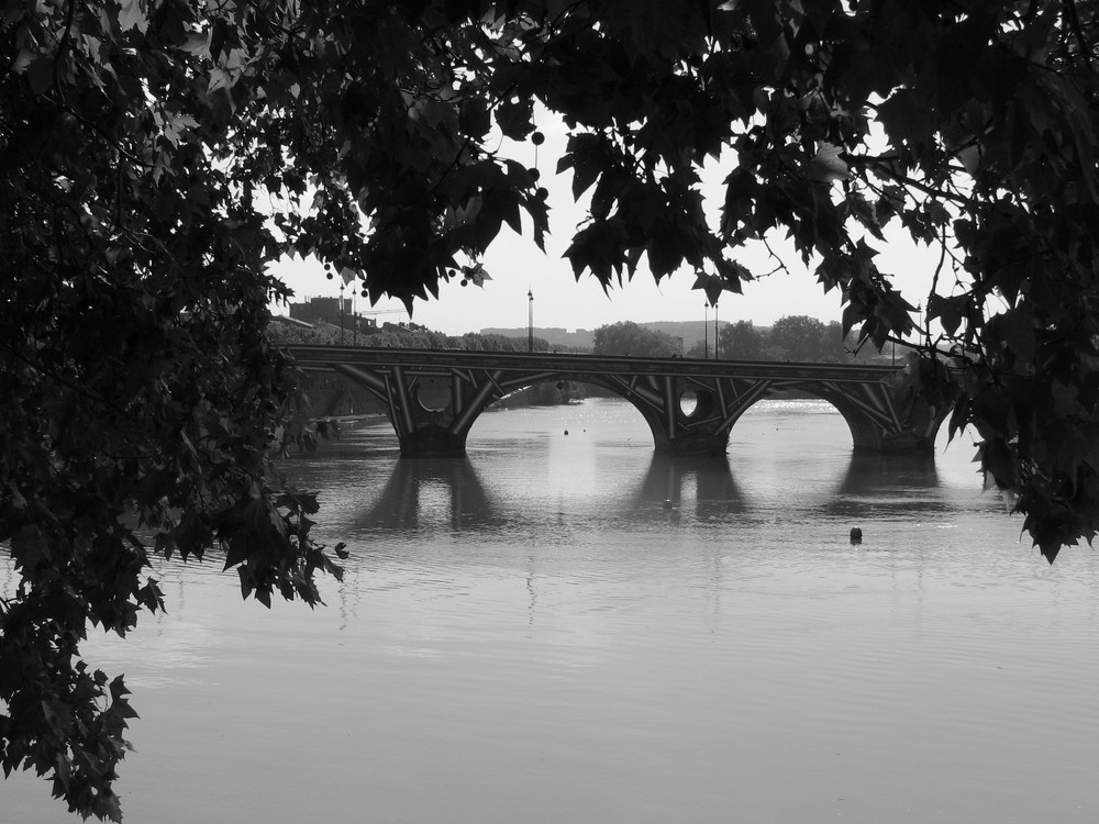 Pont neuf