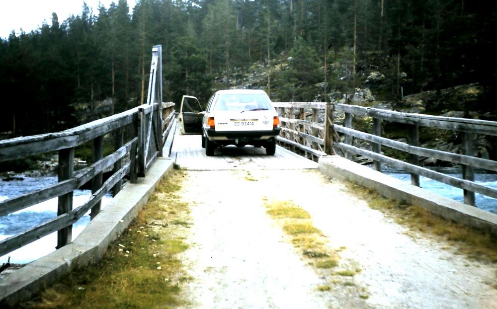 Pont norvégien (1)