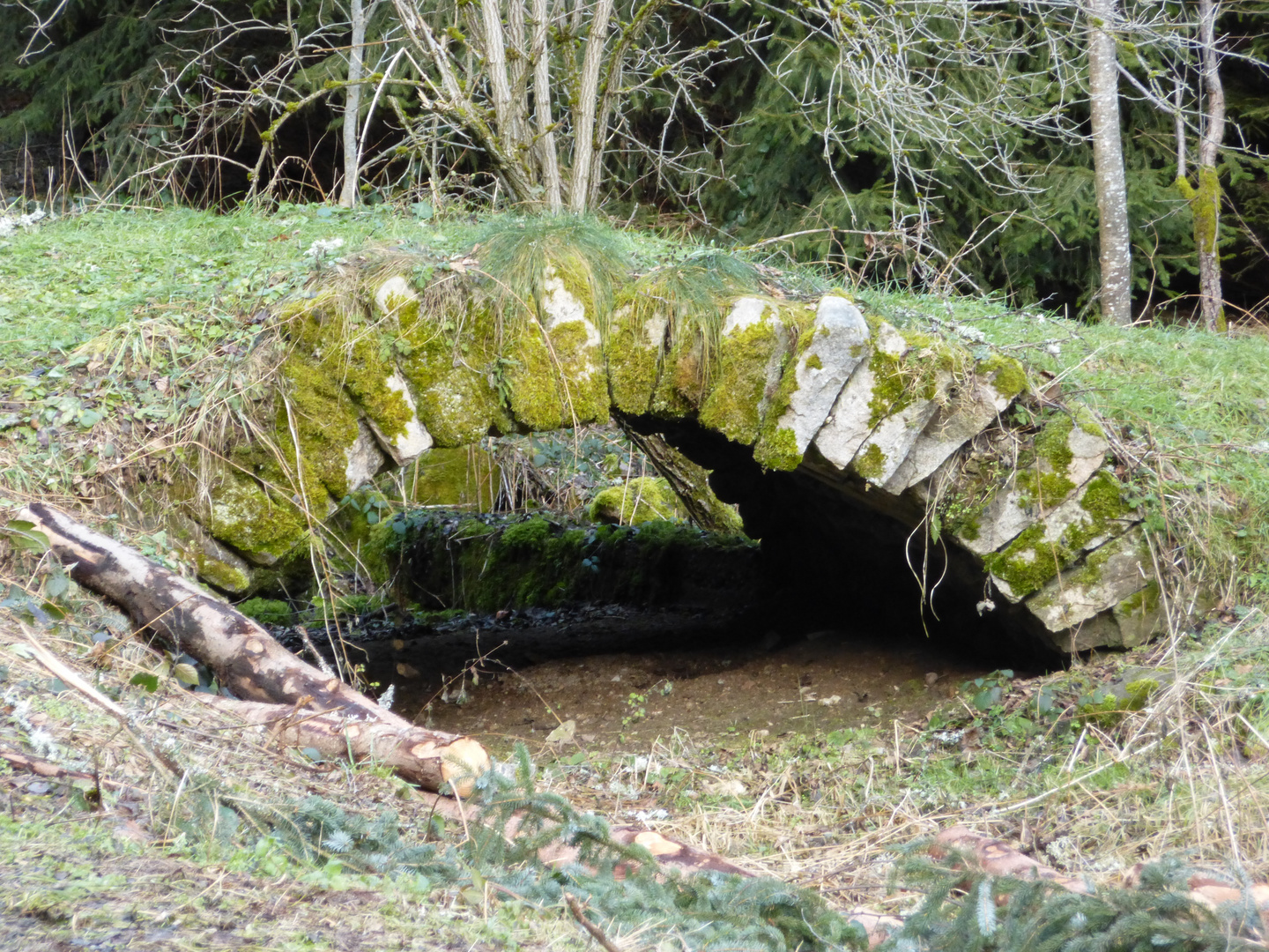 Pont oublié du passé