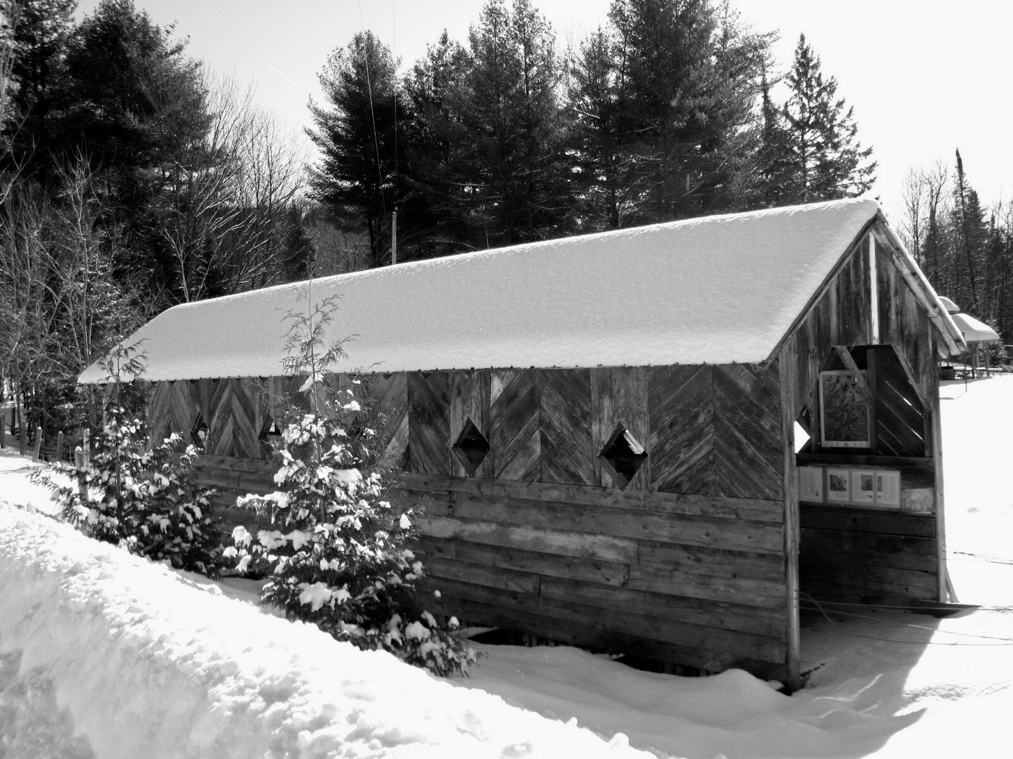 Pont photographié en noir et blanc