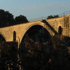 Pont Saint Benezet