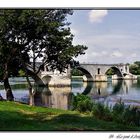 Pont St Bénezet - Pont d'Avignon