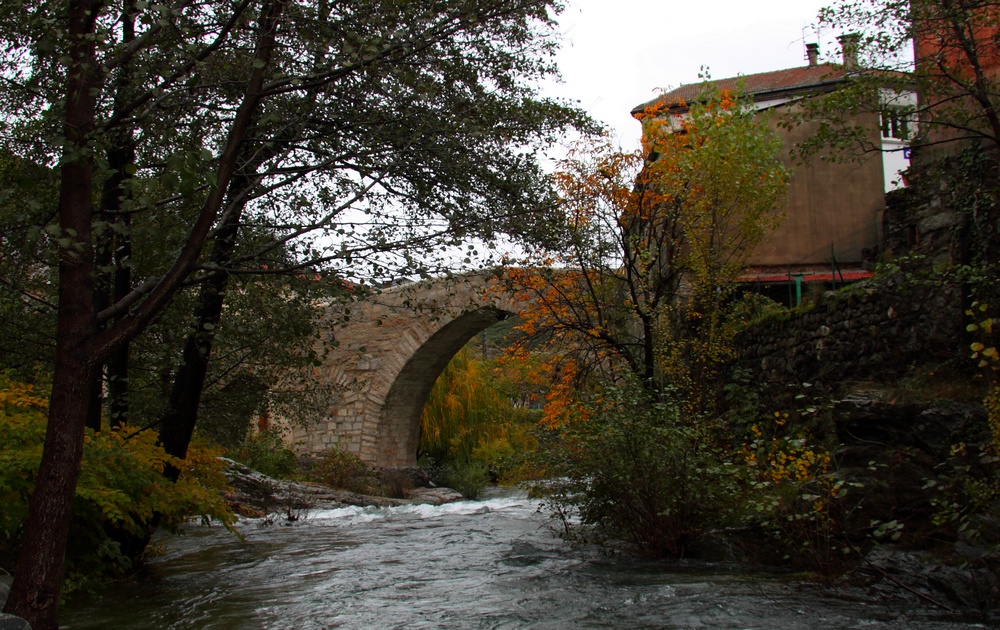 Pont st jean en automne ( 14eme siecle )