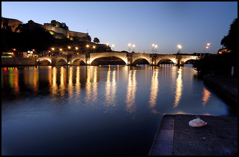 Pont sur la Meuse - Namur - Belgique