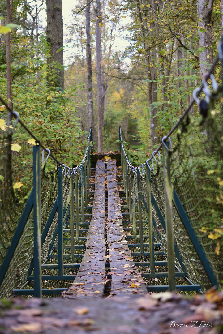 Pont sur nature automnale