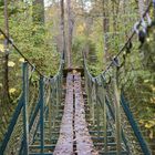 Pont sur nature automnale