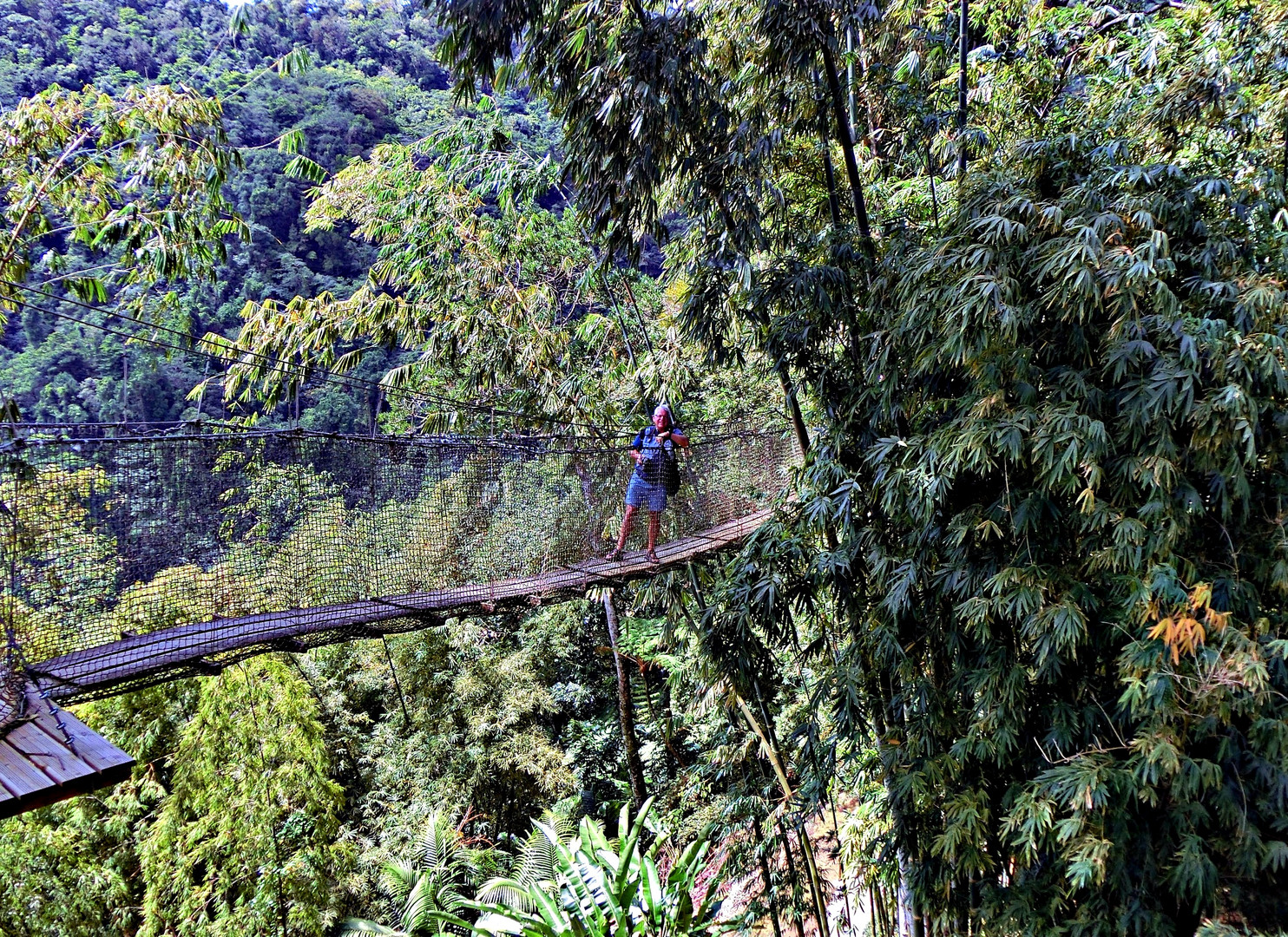 Pont suspendu