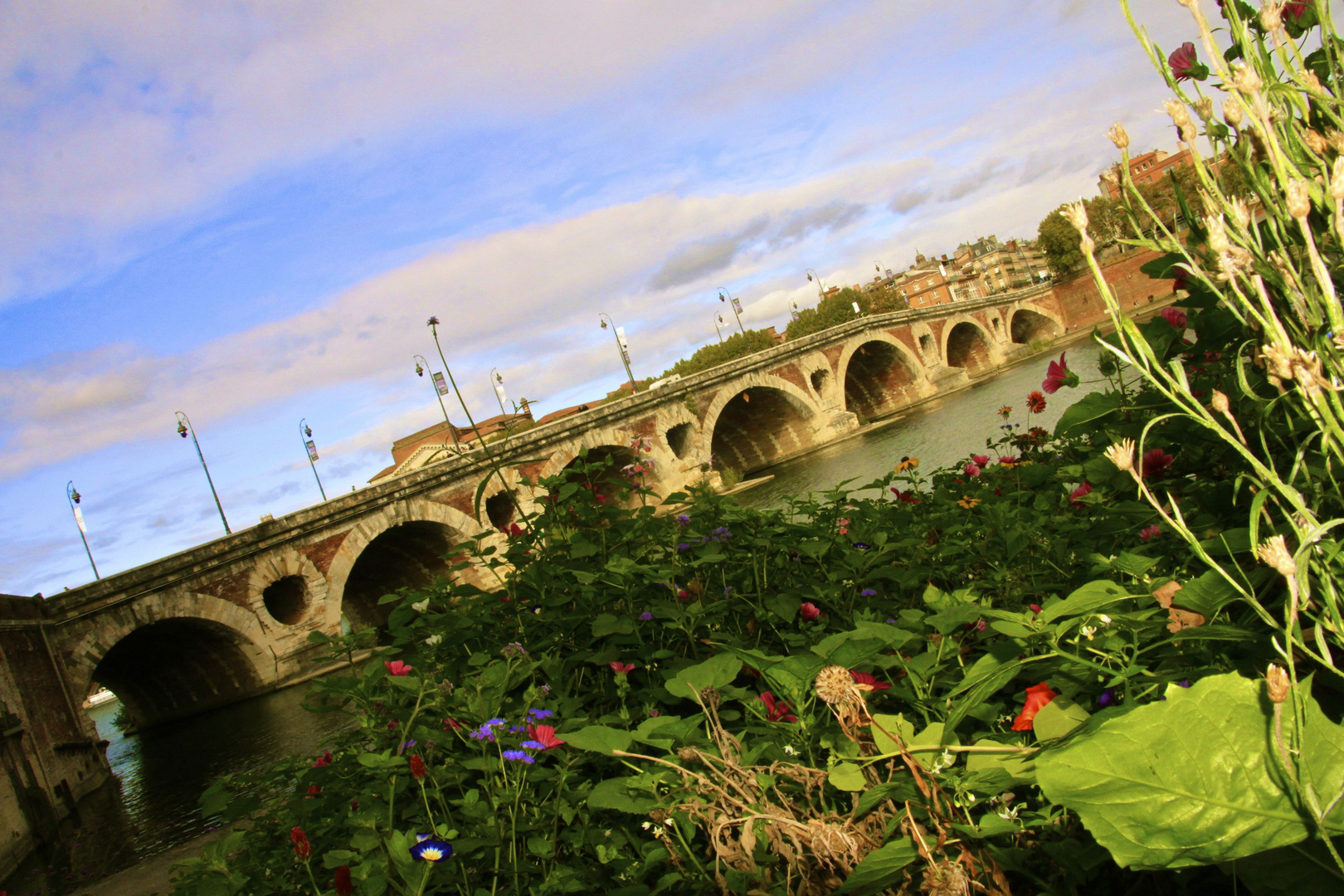 pont toulousain